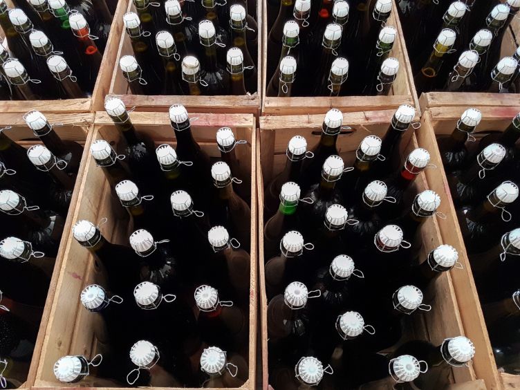 bottles of red wine in wooden box