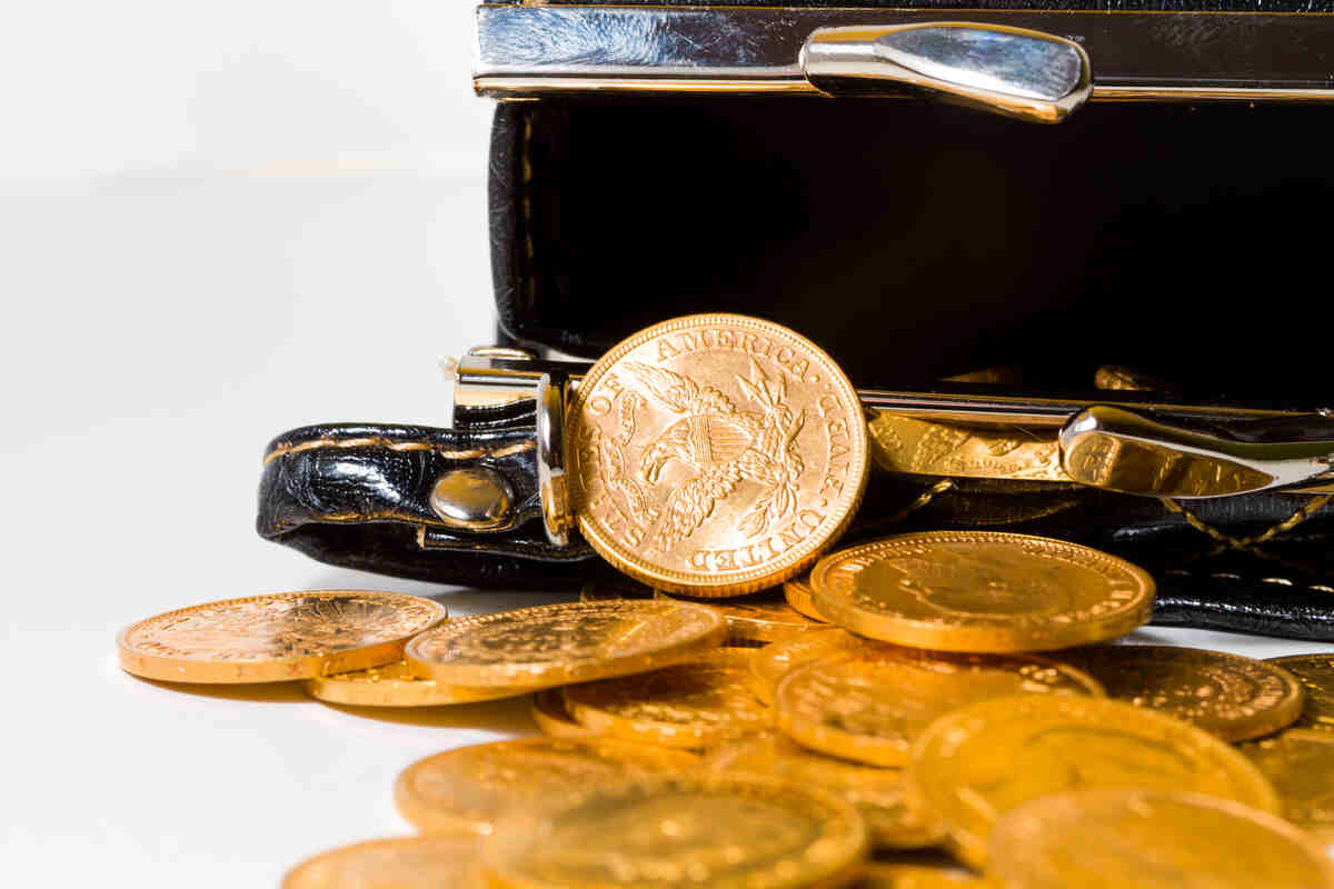 purse with gold coins