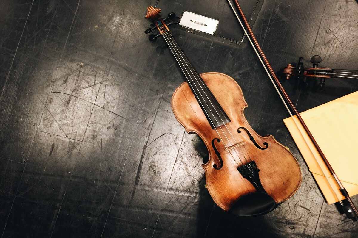 violin