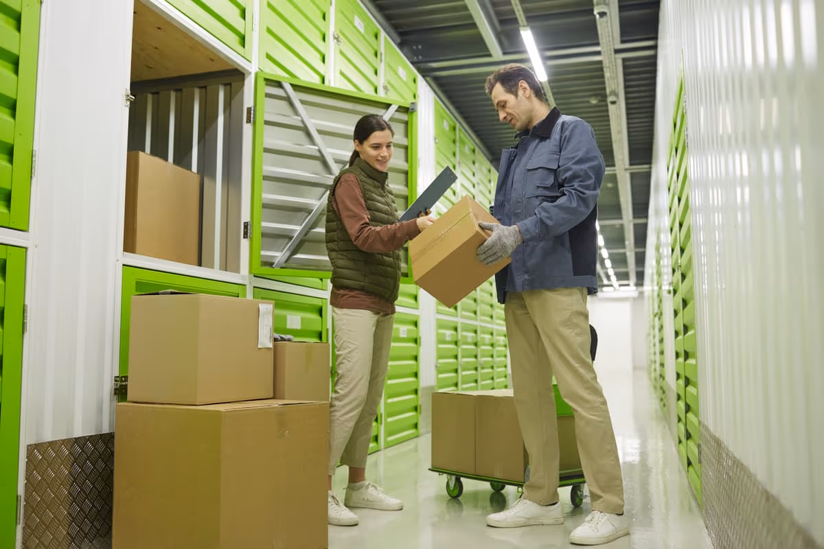 What Is Green Shipping and How Does It Affect the Environment? – with tips on how you can contribute